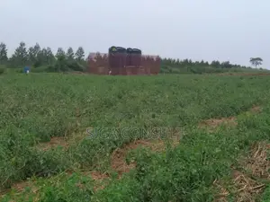20 Acres of Private Mailo Fenced Farming Land on Sale in Kapeeka