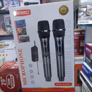Professional Wireless Dual Microphone