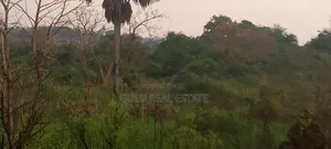 Farm Land for Sale in Gulu Koro