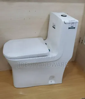 Liangdiu Obama Toilet