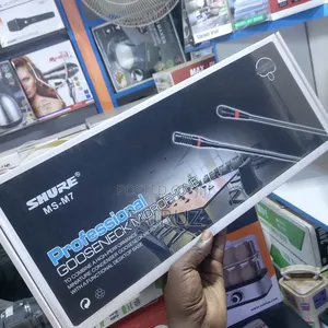 Professional Gooseneck Microphone