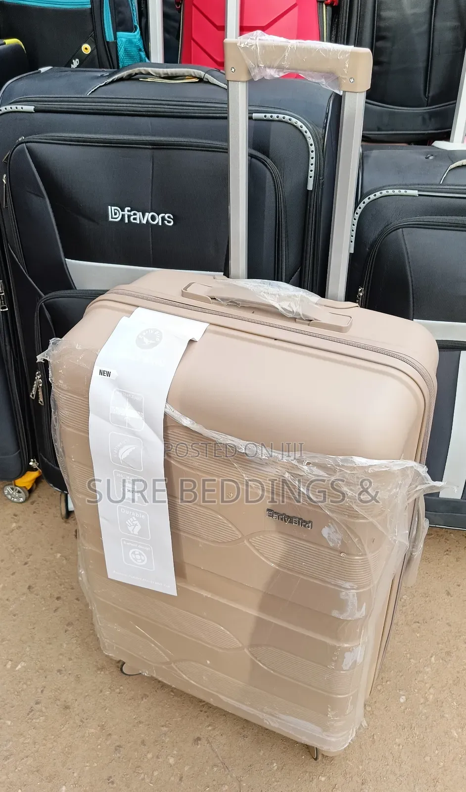 Medium Early Bird Suitcase