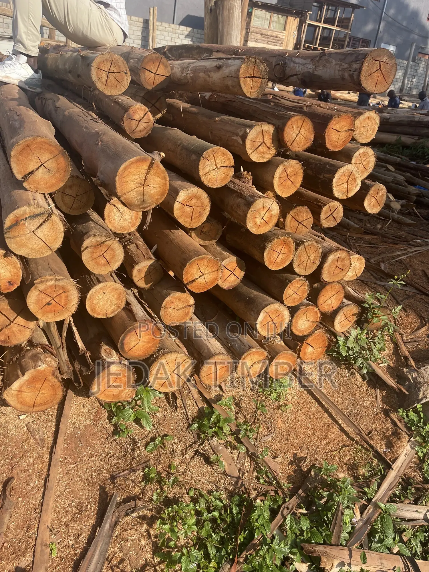 Timber Long Poles
