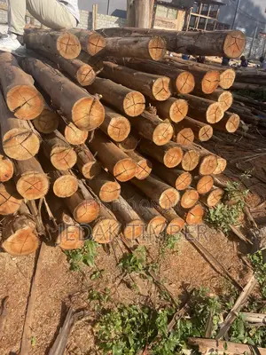 Timber Long Poles