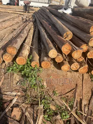 Timber Long Poles
