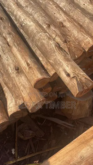 Timber Long Poles