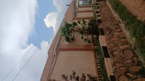 All Types of Paints
