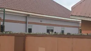 All Types of Paints