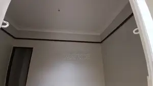 Silk Vinyl Paint