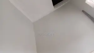 Silk Vinyl Paint