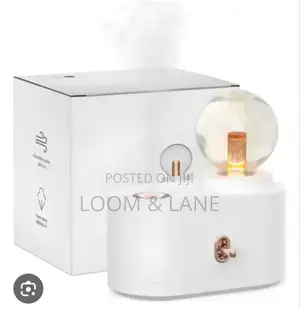 3 In1 Night Light Humidifier With Lamp