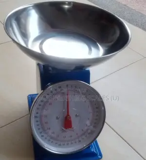 20kg Weigh Spring Mechanical Weigh Scale Shop Portable Weighing Scale
