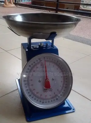 20kg Weigh Mechanical Spring Weighing Scale Dial Spring Weighing Scale