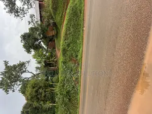 Plot 100ft by 100ft Along Hoima Road Highway at Selinya