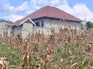 Titled Plot on Quicksale in Heart of Matuga Kavule Town