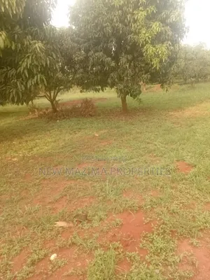 100 Acres of Farm Land With Mature Mangoes Coffee Dam Onsale