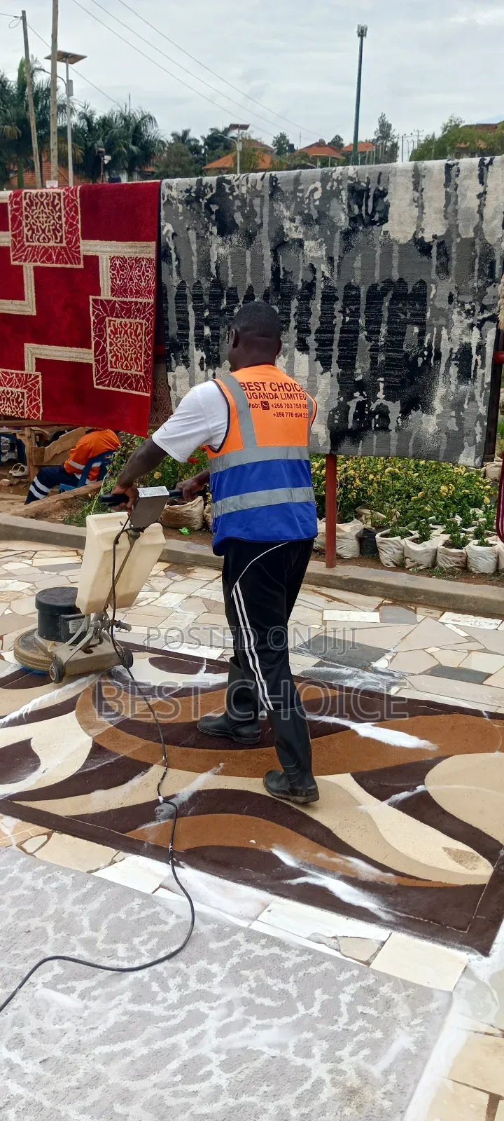 Expert Carpet Cleaning Services, Reliable Services