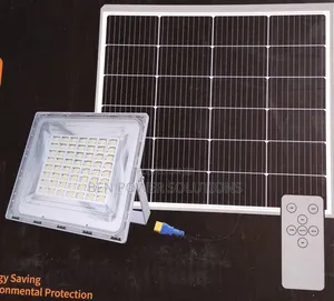 6.0 Wawa Blue Carbon Solar Floodlight