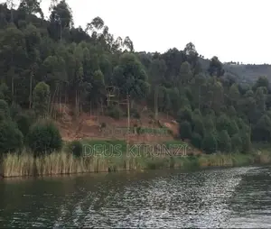 Land for Sale on Shores of Lake Bunyonyi