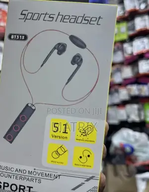 Bt313 Sports Headset