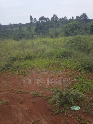 8 Plots for Sale in Kisoga Banda 100 Metres From the Tarmac Road