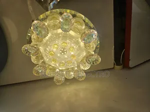 Ceiling Light