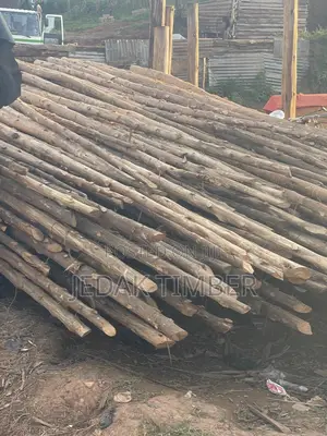 Timber At Discount