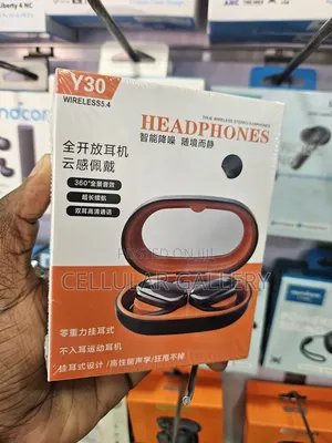 Ear Hook Headphones Y30