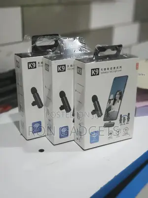 Dual Wireless Microphones for Type C