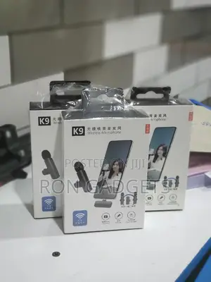 Dual Wireless Microphones for Type C
