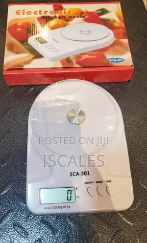 Electronic Cook Kitchen Weighing Scale 10kg Weigh Digital Weighi Scale