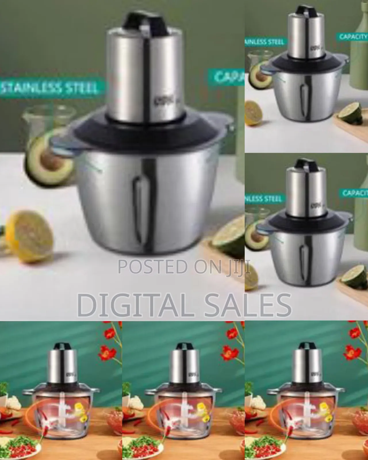 Winning Star Multi-Functional Stainless Steel Electric Food Chopper