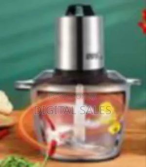 Winning Star Multi-Functional Stainless Steel Electric Food Chopper