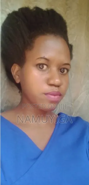 Primary Teacher