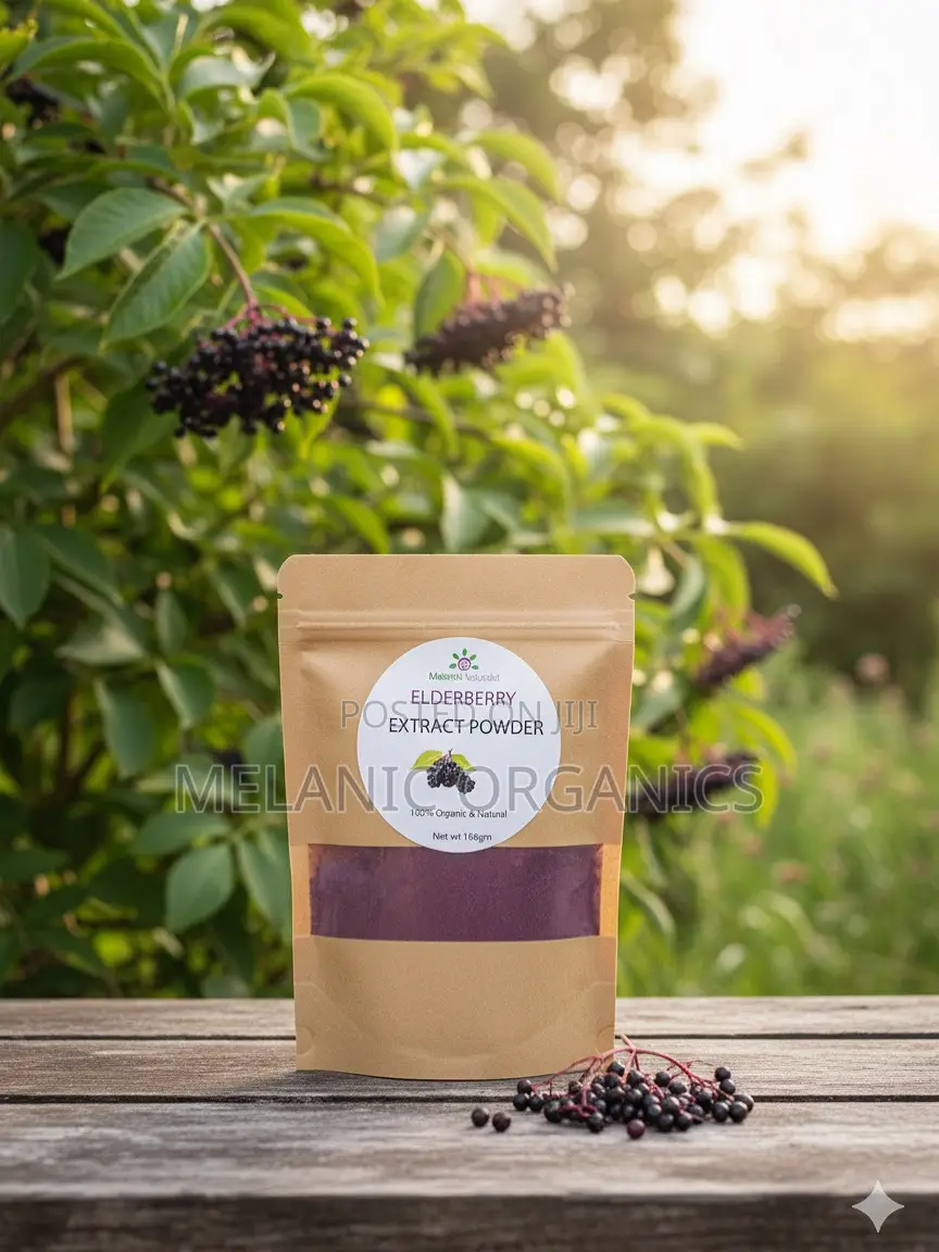 Elderberry Powder