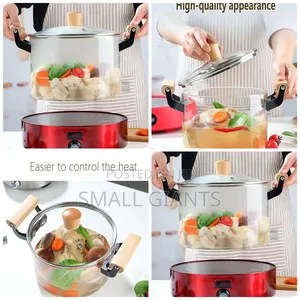 Glass Cooking Pot With Wooden Handle