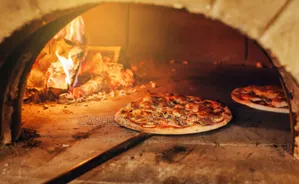 Firewood Pizza Oven