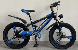 20 Inches Kids Nice Mountain Bicycle (8 To 15 Years)
