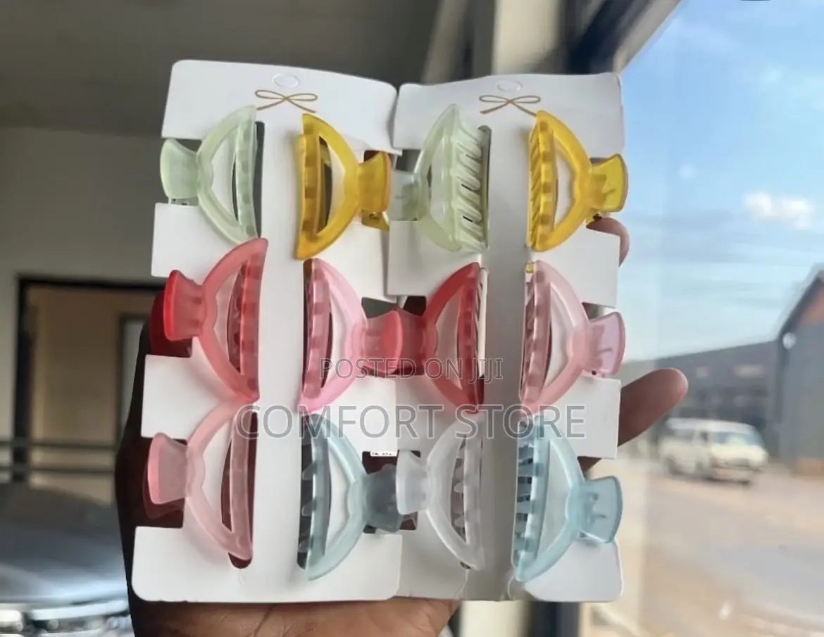 Hair Clips and Veils