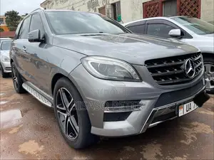 Mercedes-Benz M Class 2013 Gray