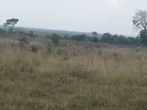 300 Acres of Land in Sezibwa Baale
