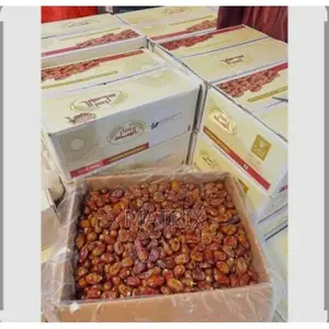 Dates Top Quality -10kg