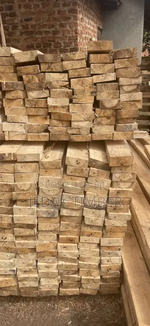 Best Timber in Uganda