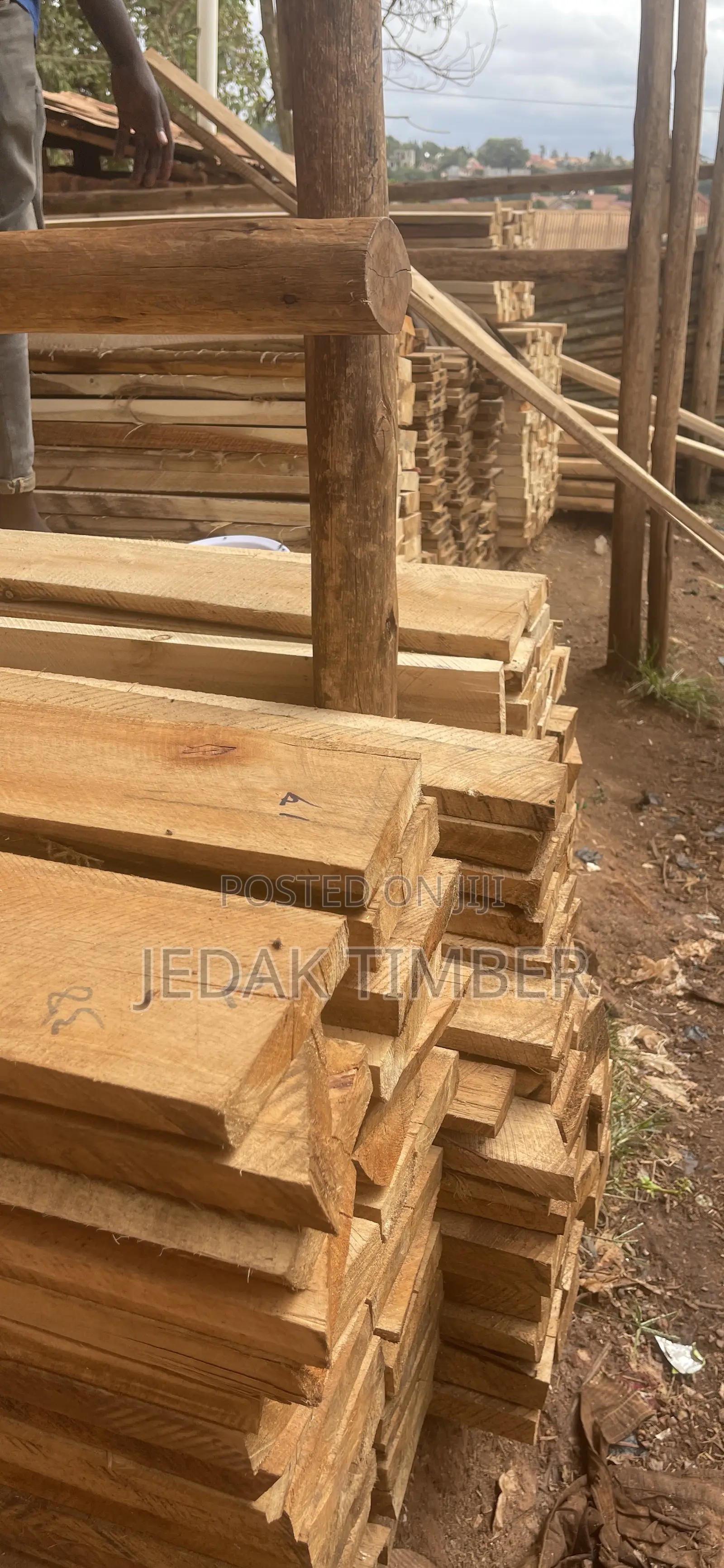 Hard Timber
