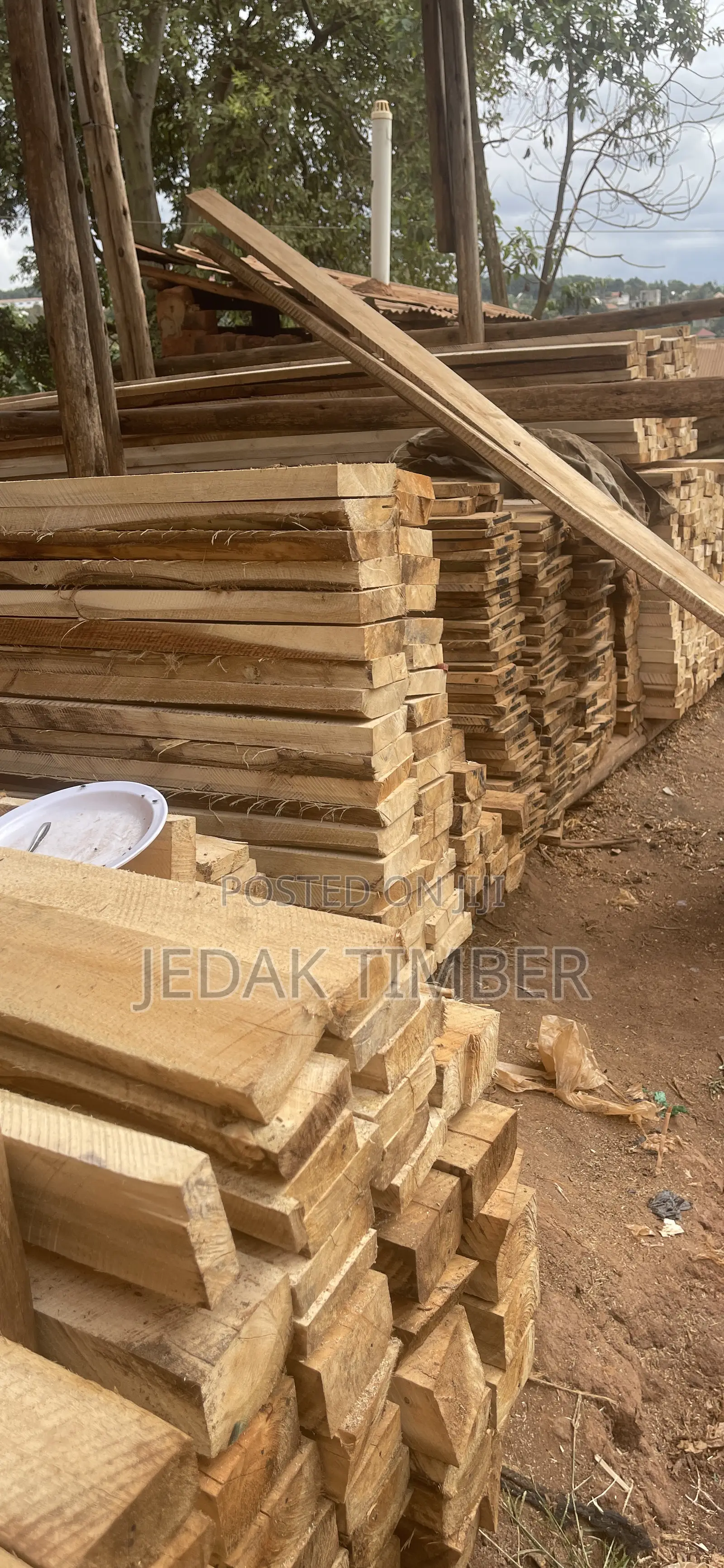 Hard Timber