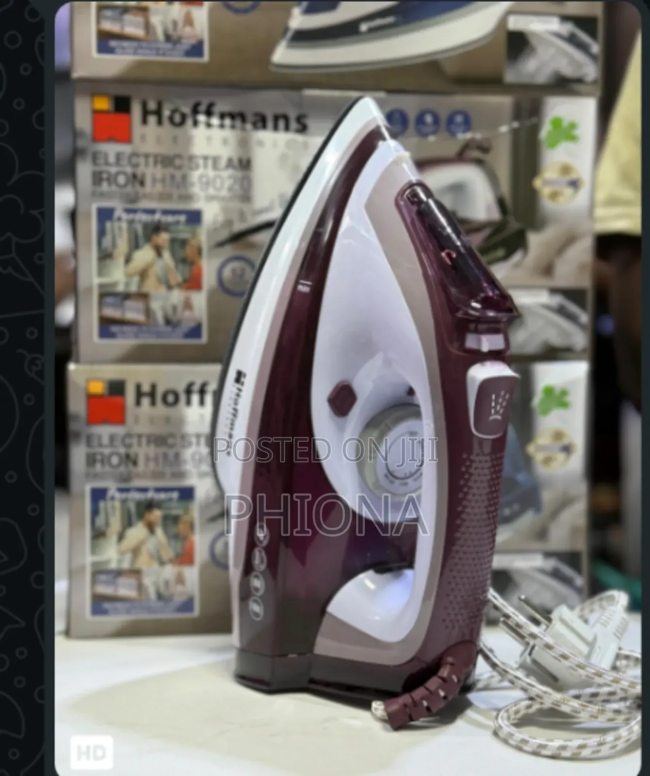 Hoffman's Steam Iron