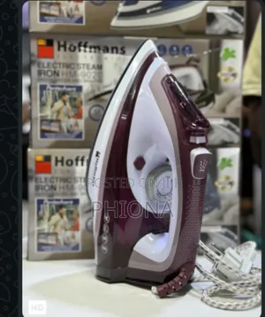 Hoffman's Steam Iron