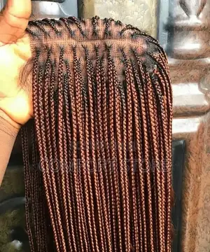 Braids Wigs