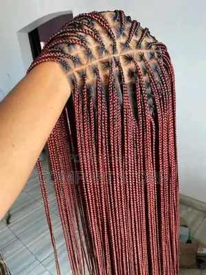 Braids Wigs