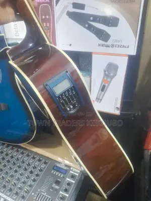Acoustic Guitar